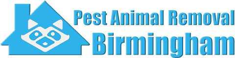 Birmingham Wildlife and Animal Removal